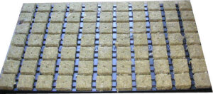 Steinwollw&uuml;rfel im Tray 4x4cm 77 St&uuml;ck